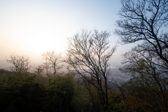 南京紫金山