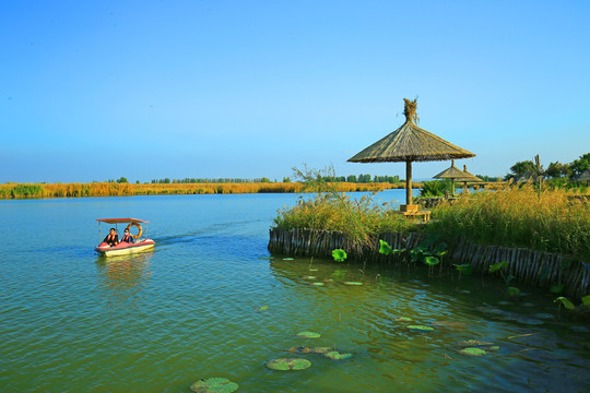 鸣翠湖掠影