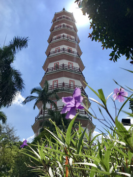 东莞金鳌洲塔