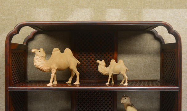 杜甫草堂博物馆木雕骆驼