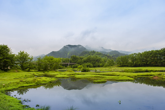 乡镇风光草地溪流