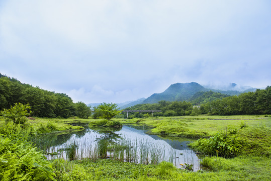 乡镇风光草地溪流