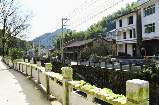 农村建筑风光