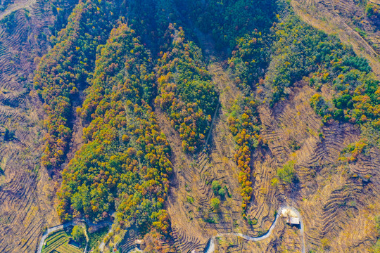 太行山嶂石岩