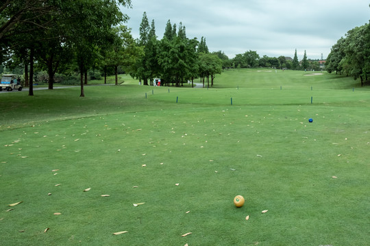 golf高尔夫