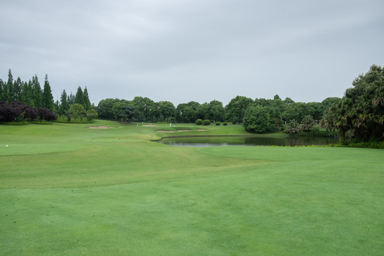 golf高尔夫