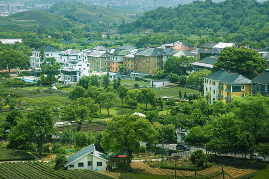 杭州龙坞茶村