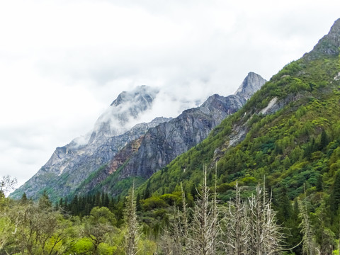 云雾山峰