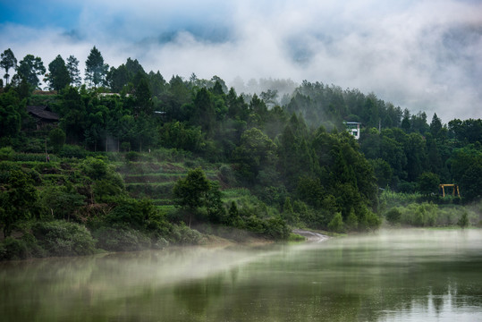 青山绿水