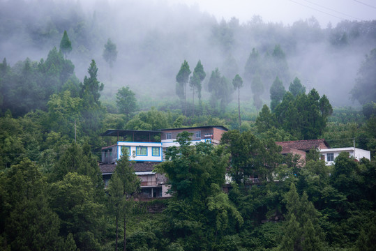 青山绿水