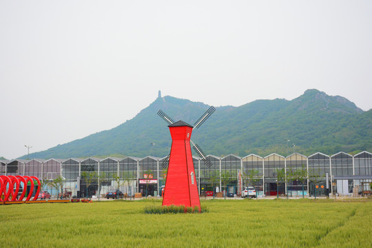 风车