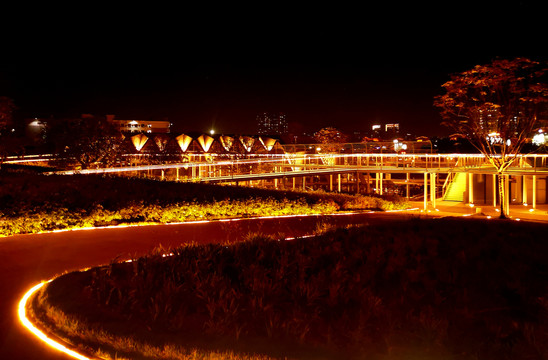 光明左岸科技公园夜景