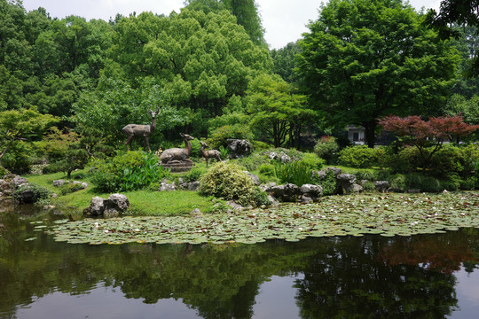 杭州植物园