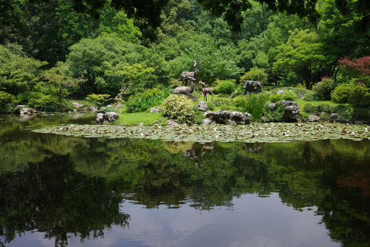 杭州植物园