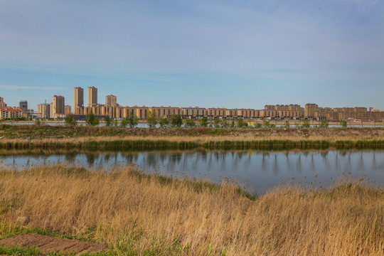 大庆青龙湖