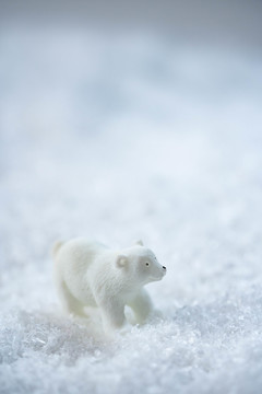 北极熊日
