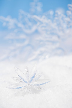 小寒冰雪雪景