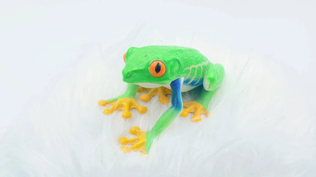 树蛙青蛙模型玩具