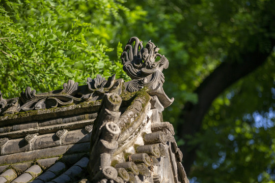 西安大兴善寺建筑物龙头檐角