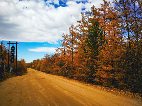 秋季森林公路