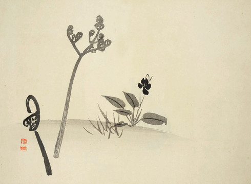 蕨菜水墨国画小品