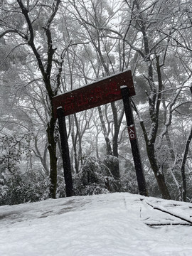 岳麓山雪景