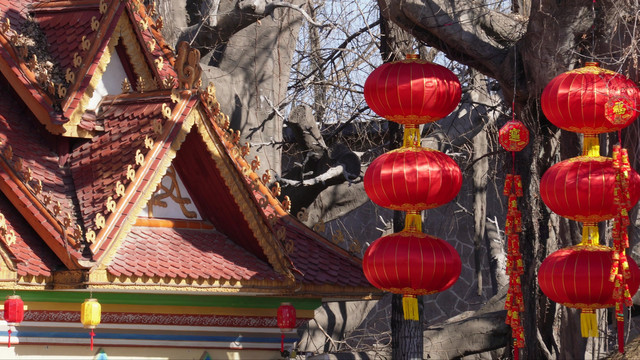 春节民族园挂红灯笼