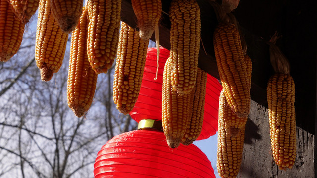 红灯笼装饰景区园区中华民族园