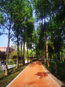 公园步道