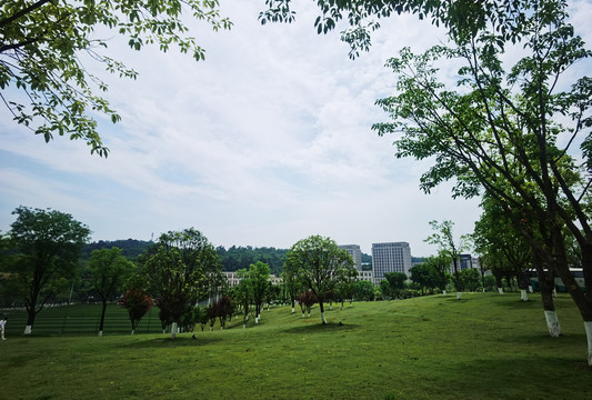 城市公园