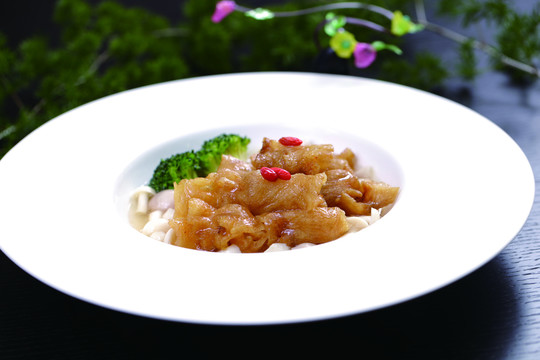 真菌烩鱼肚