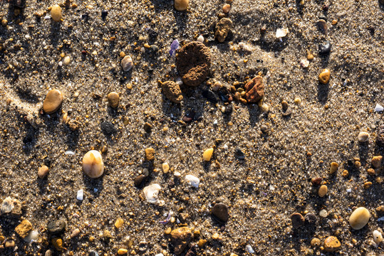 沙滩上的鹅卵石