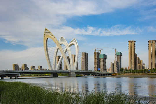 兴华路大桥