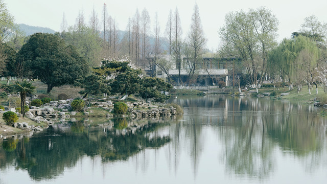 南京玄武湖春天水面倒影