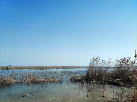 衡水湖