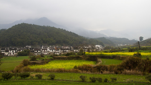 婺源乡村