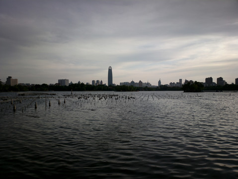 大明湖