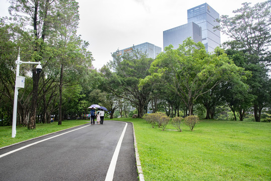 公园里雨中风景