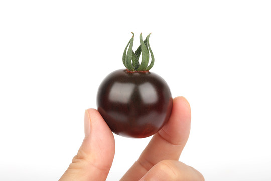 黑番茄