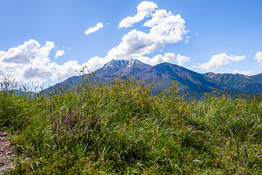 青海卓尔山