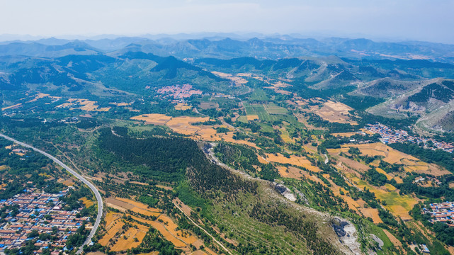 金色麦田