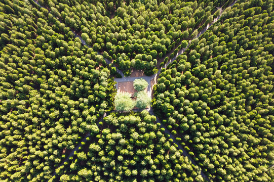 航拍周山森林公园