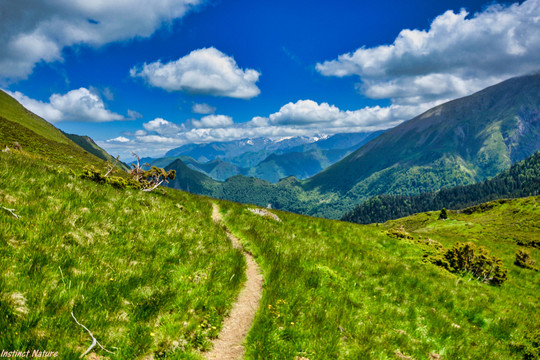 高山与山景