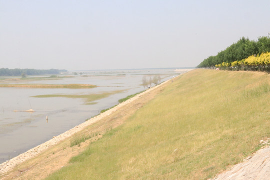 金堤河