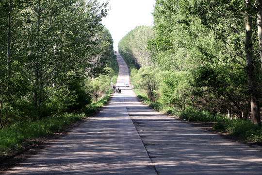 有树荫的向上的道路