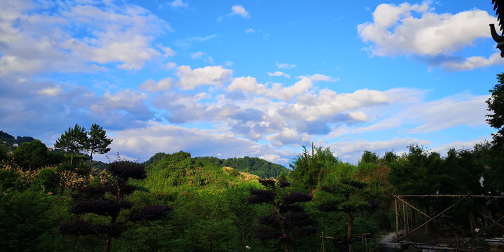 青山白云