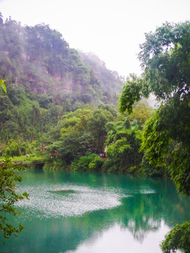 雨中平湖清音