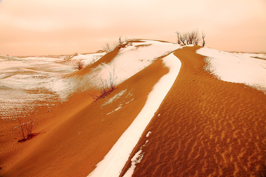 沙漠雪景