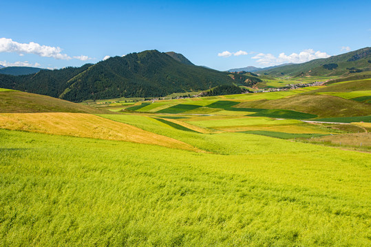 青海卓尔山