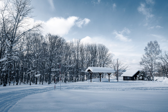 日本北海道美瑛雪中的小木屋